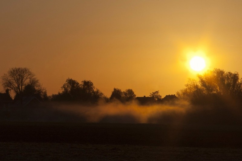 Morning light   sunrise